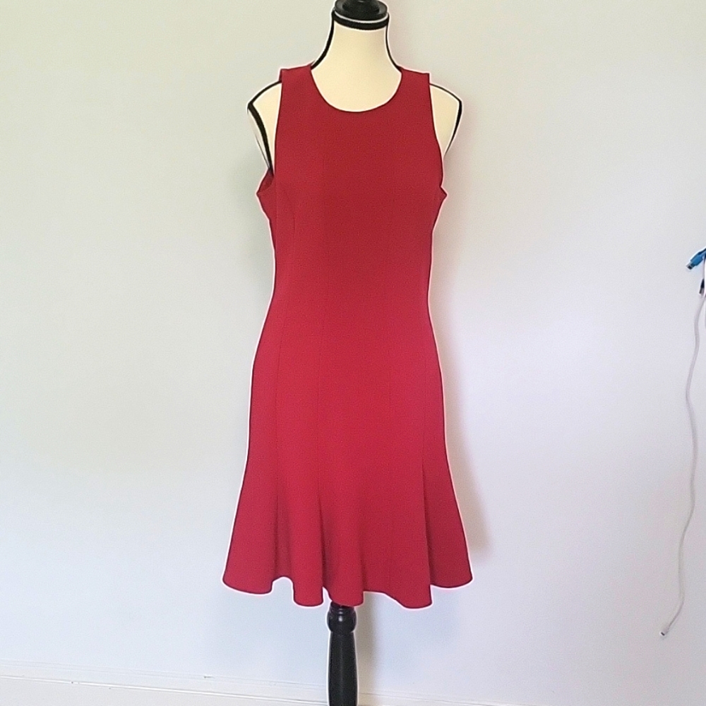 Elizabeth and James Roney Dress